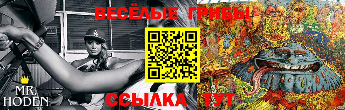 Сургут  Галлюциногенные грибы Magic Shrooms  купить  сайты  Вход с VPN 