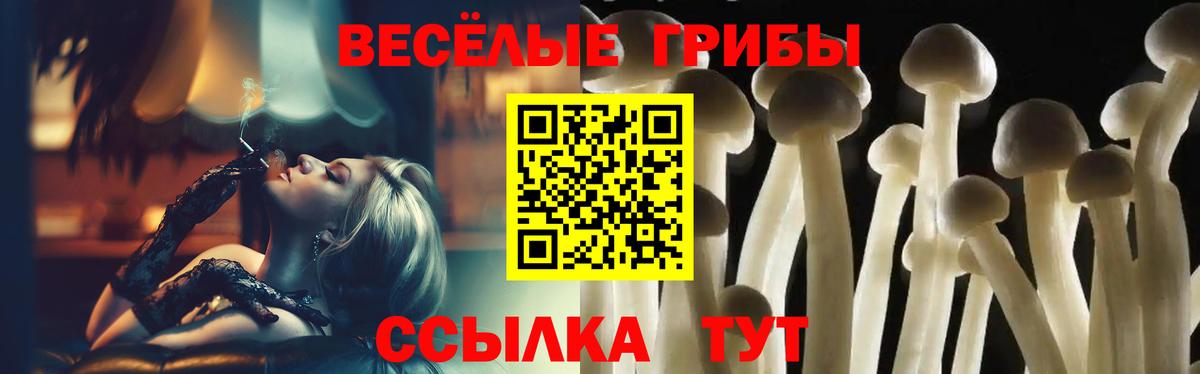 Псилоцибиновые грибы мицелий Сургут